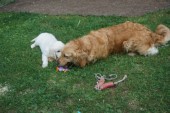 DSC02940.JPG