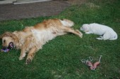 DSC02942.JPG