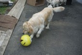 DSC02943.JPG
