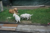 DSC02945.JPG