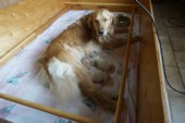 DSC04007.JPG