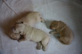 DSC04019.JPG