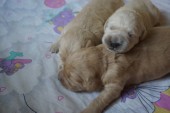 DSC04021.JPG