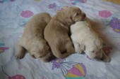 DSC04023.JPG