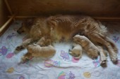 DSC04025.JPG