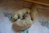 DSC04026.JPG