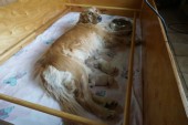 DSC04009.JPG