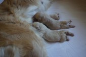 DSC04015.JPG