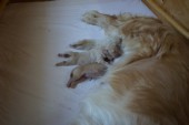 DSC04017.JPG