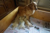 DSC04048.JPG