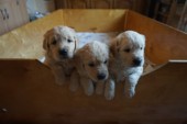 DSC04049.JPG