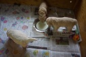 DSC04042.JPG