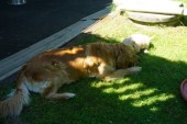 DSC04077.JPG