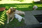 DSC04079.JPG