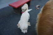 DSC04072.JPG