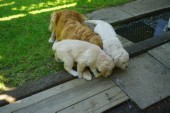 DSC04074.JPG
