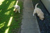 DSC04075.JPG