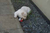 DSC04076.JPG